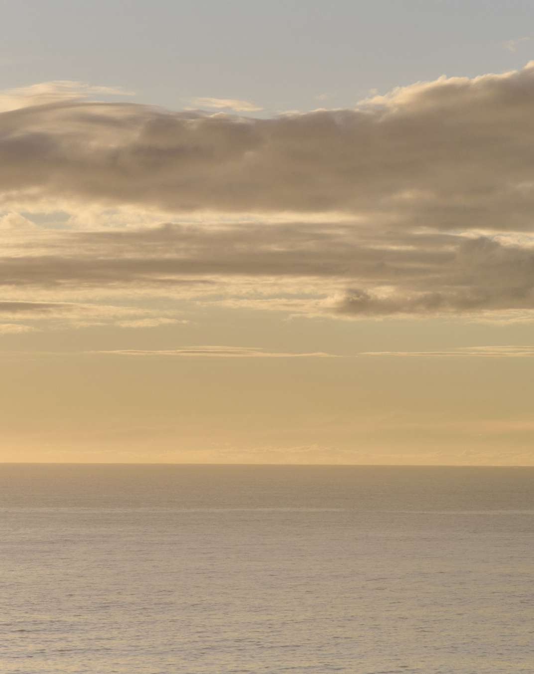 Bondi Beach